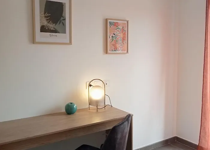 Maison Jardin Tram,mer 15mn Voiture *
